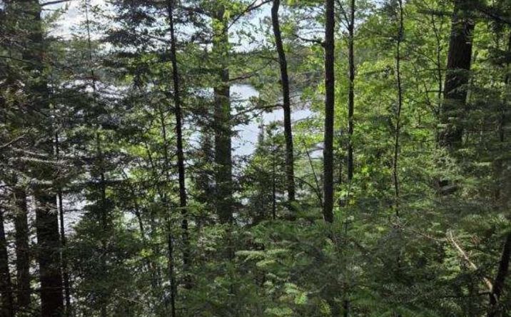 Pictures of Land property located at TBD W Paint Lake Road, Iron River, MI 49935 for sales - image #1