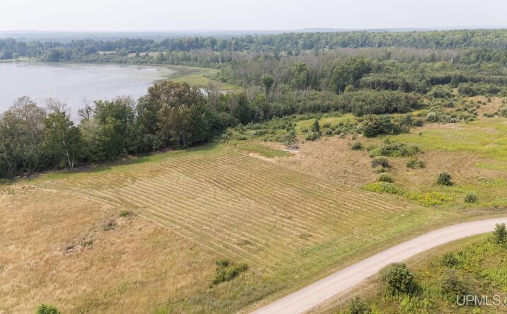 Pictures of Land property located at TBD Gendzwill Drive, Iron River, MI 49935 for sales - image #1