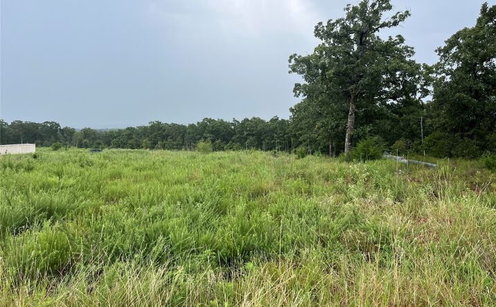 Pictures of Land property located at Rural Route, Hanna, OK 74845 for sales - image #1