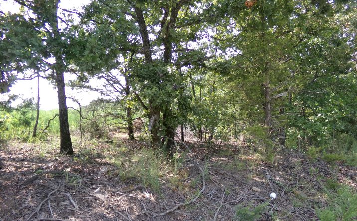 Pictures of Land property located at N 4230 Road, Eufaula, OK 74432 for sales - image #1