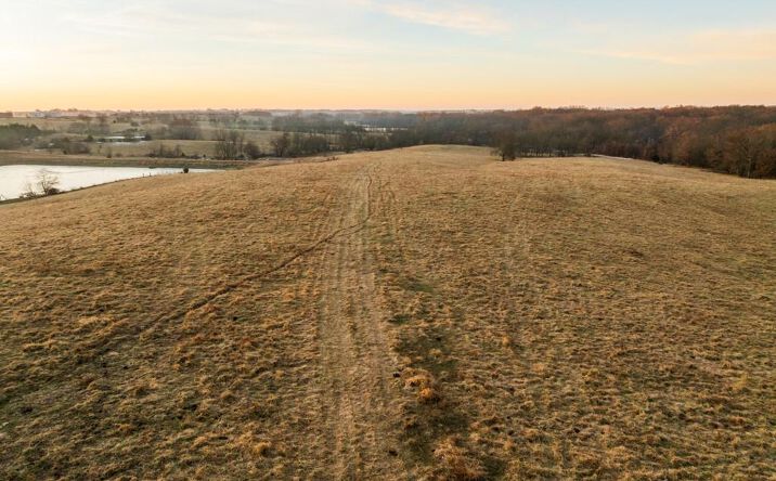 Pictures of Land property located at 0000 Willow Road, Winigan, MO 63566 for sales - image #1
