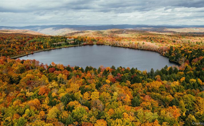 Pictures of Land property located at LOT 10 Wood Lake Trail, Fremont, NY 12736 for sales - image #1