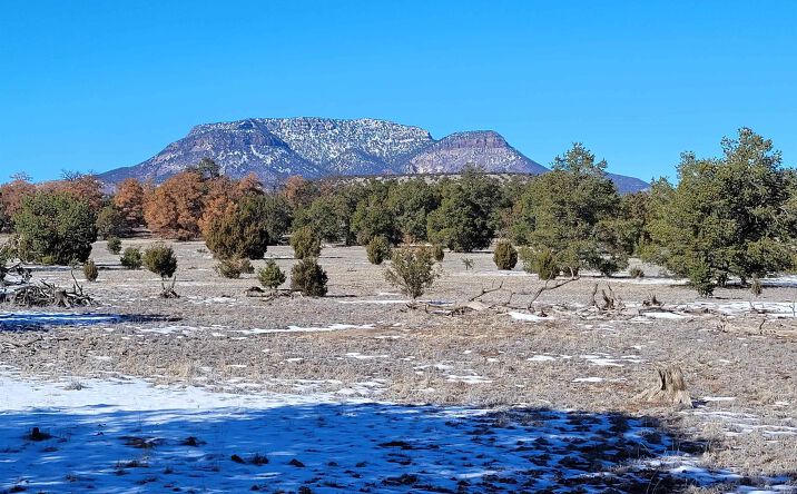 Pictures of Land property located at 1 Jackass Lane, Datil, NM 87821-0000 for sales - image #1