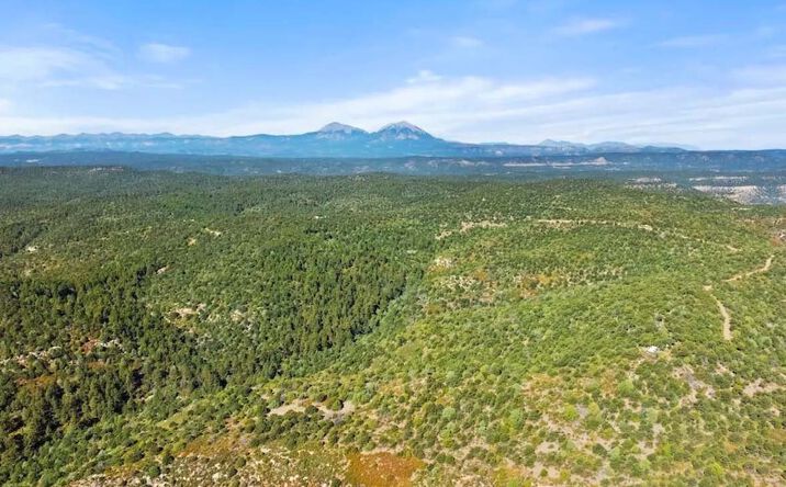 Pictures of Land property located at TBD Tollerburg Rd, Trinidad, CO 81082 for sales - image #1