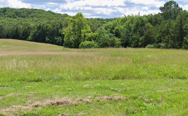 Pictures of Land, Mixed Use property located at 800 E Woodlawn Dr, Farmington, MO 63640 for sales - image #1