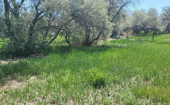 Pictures of Land property located at 216 Lane 9, Powell, WY 82435 for sales - image #1