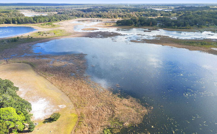 Pictures of Land property located at SE 256th Ave, Umatilla, FL 32784 for sales - image #1