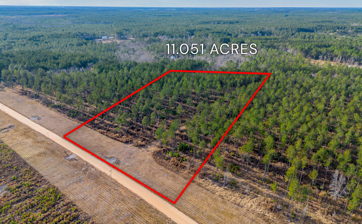 Pictures of Land property located at Arcola Rd, Brooklet, GA 30415 for sales - image #1