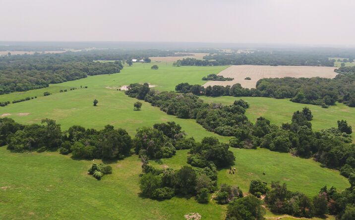 Pictures of Land property located at 1920 Co Rd 316, Caldwell, TX 77836 for sales - image #1