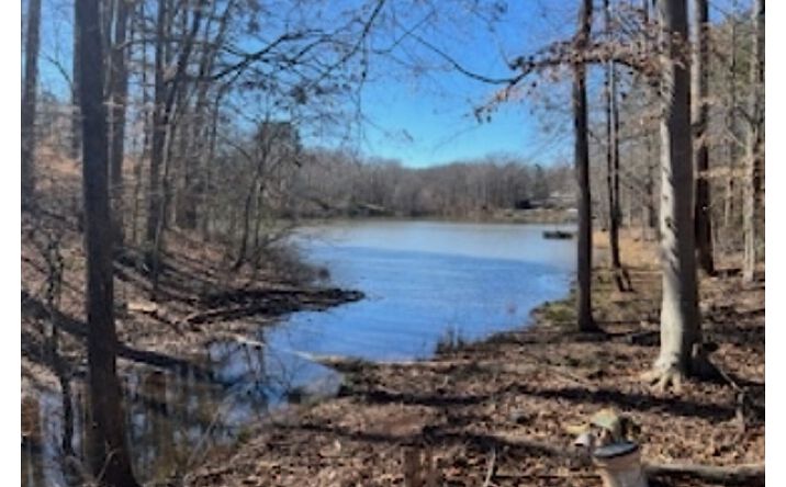 Pictures of Land property located at Berry Shoals Rd, Duncan, SC 29334 for sales - image #1