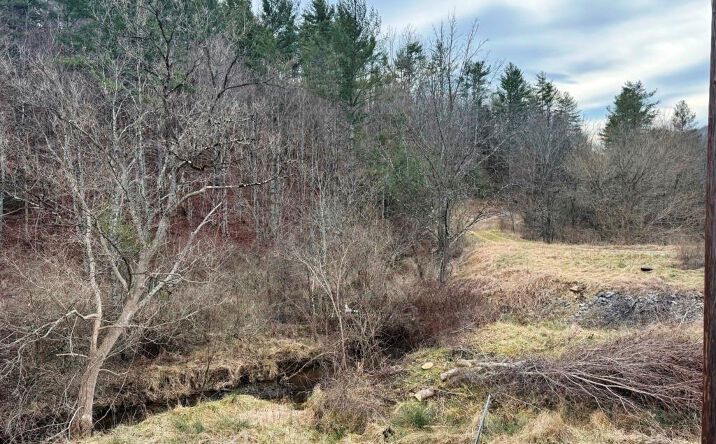 Pictures of Land, Multifamily property located at 41 acres E Blue Grass Trl, Bland, VA 24315 for sales - image #1