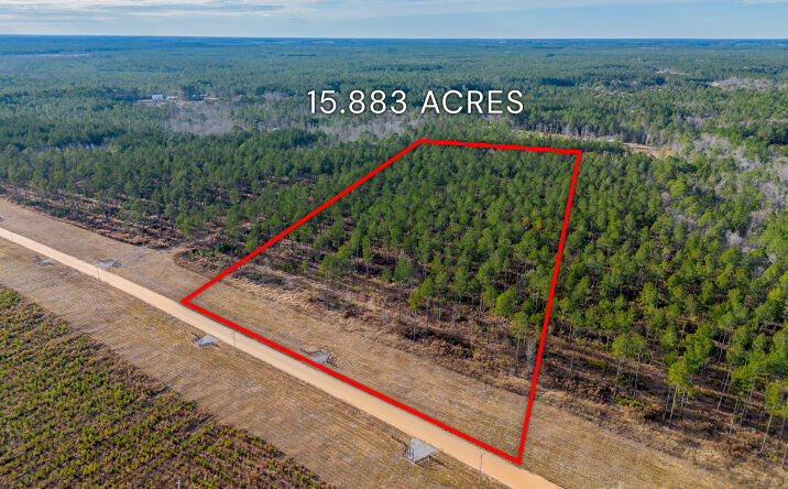 Pictures of Land property located at Arcola Rd, Brooklet, GA 30415 for sales - image #1