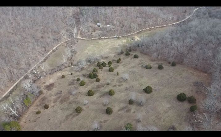 Pictures of Land property located at Tbd Carter D-304, Van Buren, MO 63965 for sales - image #1