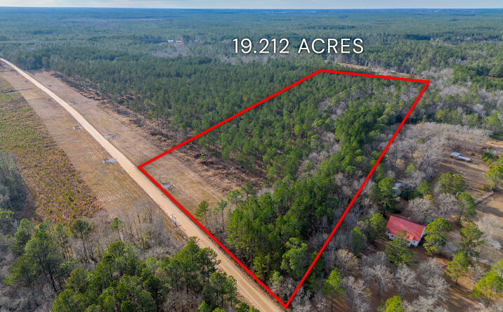 Pictures of Land property located at Arcola Rd, Brooklet, GA 30415 for sales - image #1