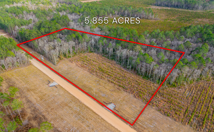 Pictures of Land property located at Arcola Rd, Brooklet, GA 30415 for sales - image #1