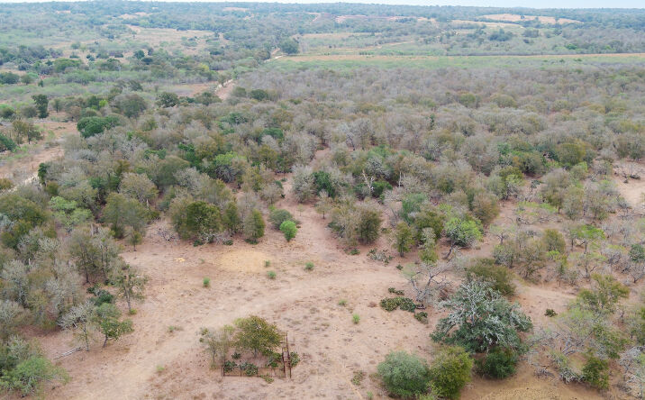 Pictures of Land property located at 2064 County road 334, Rockdale, TX 76567 for sales - image #1