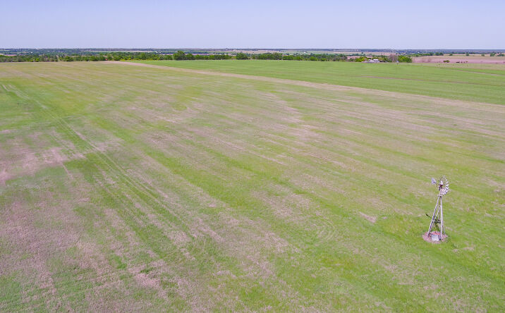 Pictures of Land property located at County Road 418, San Gabirel, TX 76577 for sales - image #1
