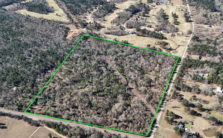 Pictures of Land property located at 1173 E Wilkins Rd, Gladewater, TX 75647 for sales - image #1