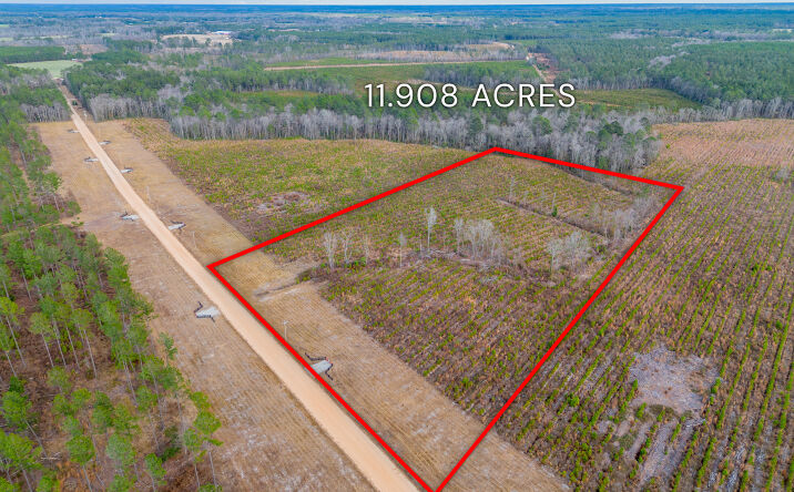 Pictures of Land property located at Arcola Rd, Brooklet, GA 30415 for sales - image #1