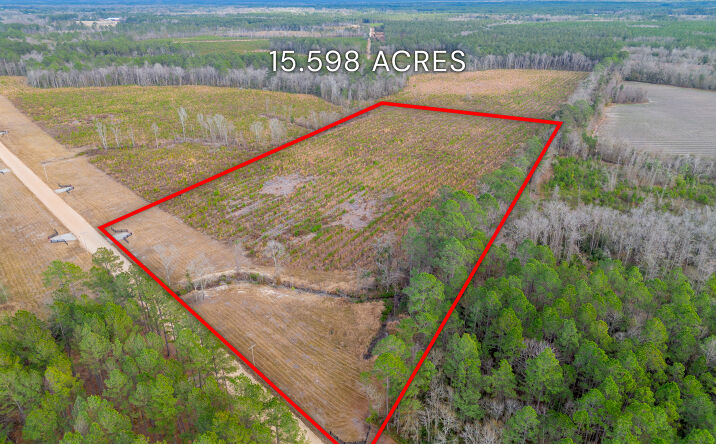 Pictures of Land property located at Arcola Rd, Brooklet, GA 30415 for sales - image #1