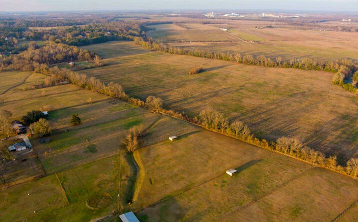 Pictures of Land property located at Robson Rd, Caspiana, LA 71115 for sales - image #1