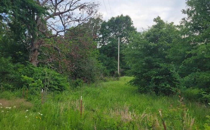 Pictures of Land property located at 140 Gaines Creek, Canadian, OK 74425 for sales - image #1