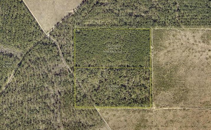 Pictures of Land property located at US-171 S N/A, DeRidder, LA 70634 for sales - image #1
