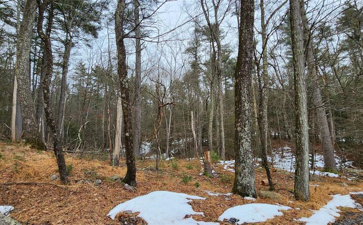 Pictures of Land property located at Rustic Hill Road, Mamakating, NY 12790 for sales - image #1