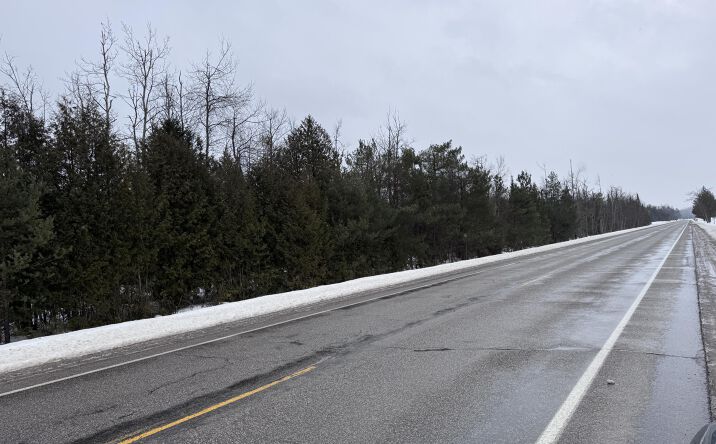 Pictures of Special Purpose property located at 10 AC Old 27 N Highway , 10 Acres, Vanderbilt, MI 49795 for sales - image #1