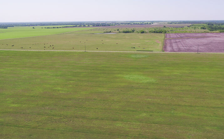 Pictures of Land property located at County Rd 418B, San Gabirel, TX 76530 for sales - image #1