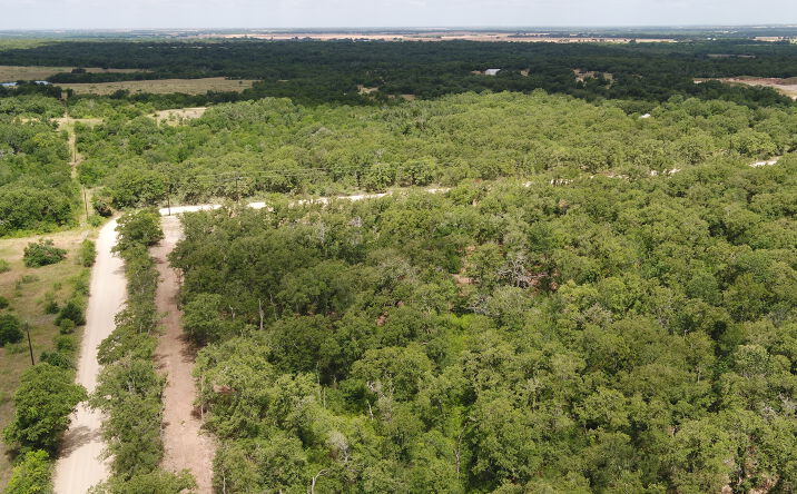 Pictures of Land property located at Co Rd 405, Buckholts, TX 76518 for sales - image #1