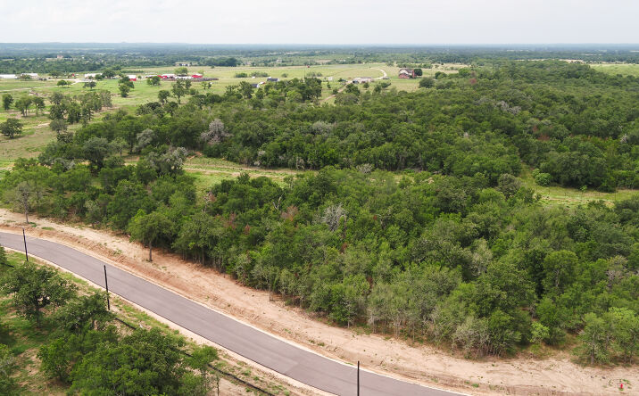 Pictures of Land property located at FM86, Dale, TX 78616 for sales - image #1