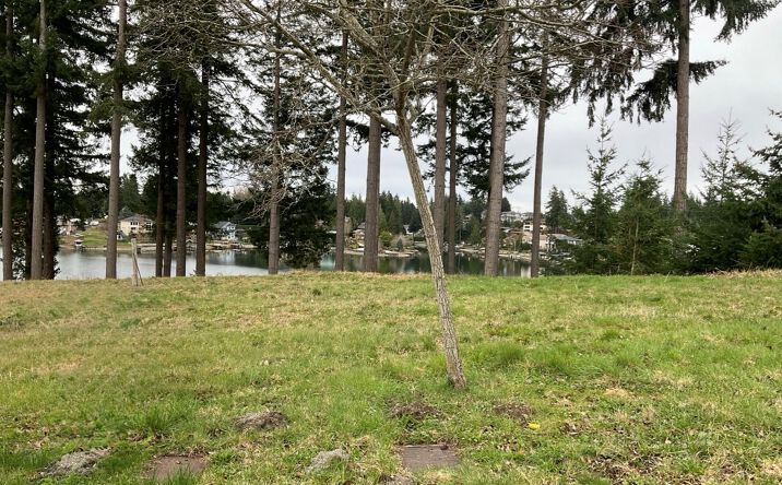 Pictures of Land property located at 17608 16th St Ct E, Lake Tapps, WA 98391 for sales - image #1