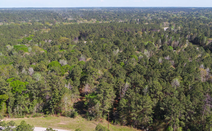 Pictures of Land property located at Bighorn Road, Huntsville, TX 77340 for sales - image #1