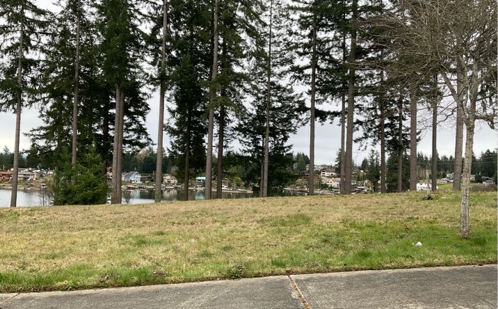 Pictures of Land property located at 17612 16th St Ct E, Lake Tapps, WA 98391 for sales - image #1