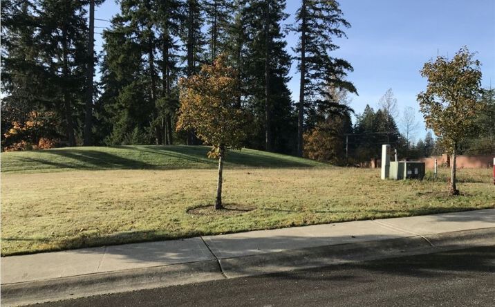Pictures of Land property located at 1827 176th Ave E, Lake Tapps, WA 98391 for sales - image #1