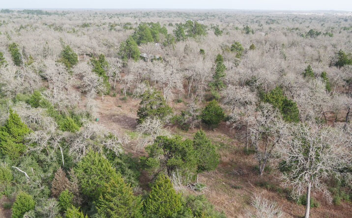 Pictures of Land property located at 363 Private Road 3745, Milano, TX 76556 for sales - image #1