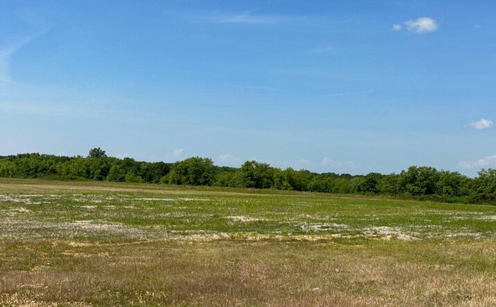 Pictures of Land property located at 1651 Market Drive, Pocahontas, AR 72455 for sales - image #1