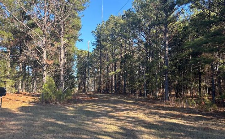 Pictures of Land property located at 00 Geneva Highway, Talbotton, GA 31827 for sales - image #1