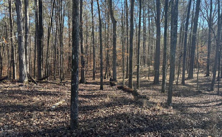 Pictures of Land property located at 00 Carl Mathis Rd, Talbotton, GA 31827 for sales - image #1