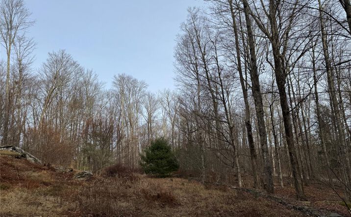 Pictures of Land property located at Hilltop Road, Thompson, NY 12701 for sales - image #1