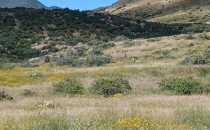 Pictures of Land property located at 10450 E Vaca Bonita, Dewey-Humboldt, AZ 86329 for sales - image #1