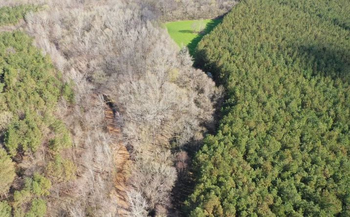 Pictures of Land property located at Moore Road 159, Red Banks, MS 38661 for sales - image #1