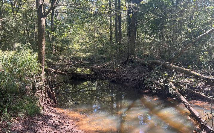 Pictures of Land property located at Little Bogue Homa Creek 60, Heidelberg, MS 39439 for sales - image #1