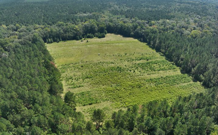 Pictures of Land property located at Wilkerson Property-South, Louin, MS 39338 for sales - image #1