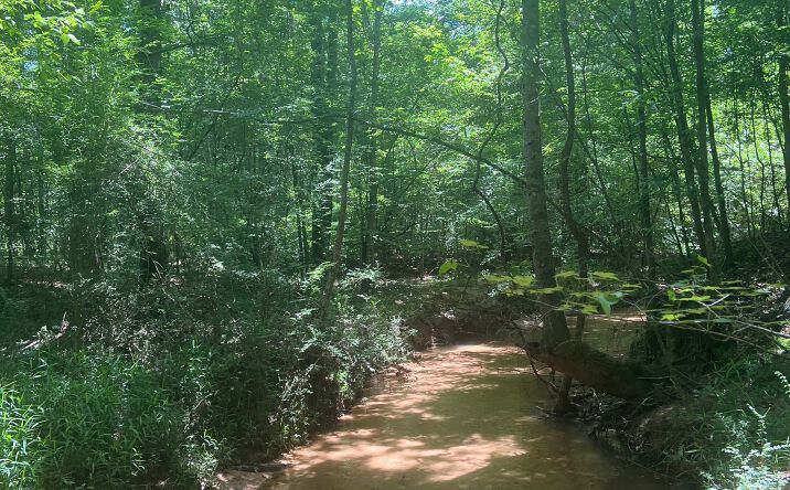 Pictures of Land property located at Dyar Property - Shubuta, Buckatunna, MS 39322 for sales - image #1