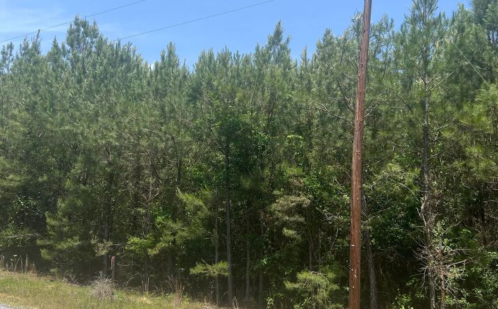 Pictures of Land property located at Dyar Property - Shubuta West, Buckatunna, MS 39322 for sales - image #1