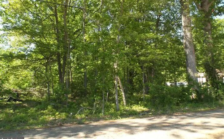 Pictures of Land property located at 6563 Matthews Rd, Bryans Road, MD 20616 for sales - image #1