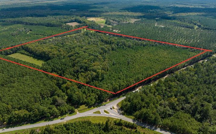 Pictures of Land property located at US-701, Georgetown, SC 29440 for sales - image #1