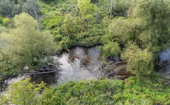 Pictures of Land property located at Pine St, Pine River, WI 54965 for sales - image #1